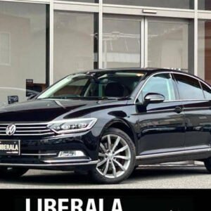 2015 Volkswagen Passat Variant TSI Elegance