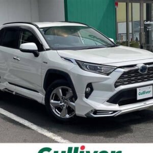 2019 Toyota RAV4 Hybrid