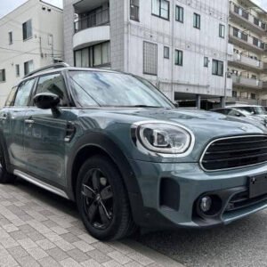 2021 Mini Others