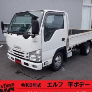 2020 Isuzu Elf Truck