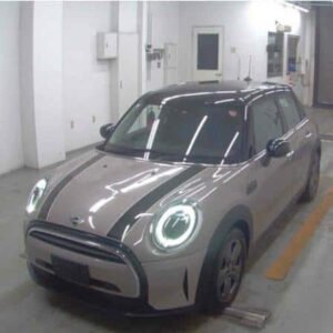 2021 Mini Others
