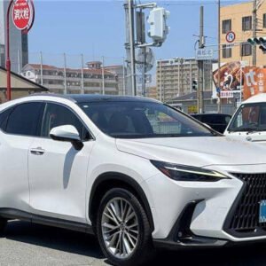 2017 Lexus NX 300h I-Package